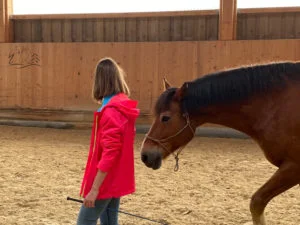Ecurie Vermeille équicoaching coach cheval chevaux Jura Suisse Femme confiance en soi communication verbale non verbale famille team building Leader leadership affirmation de soi, détermination, enthousiasme, compétitivité, résistance et organisation