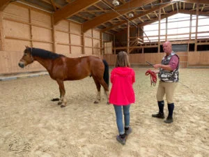 Ecurie Vermeille équicoaching coach cheval équitation jura manége cours Suisse Franche-Montagnes femme famille Team building Leader leadership affirmation de soi, détermination, enthousiasme, compétitivité, résistance et organisation