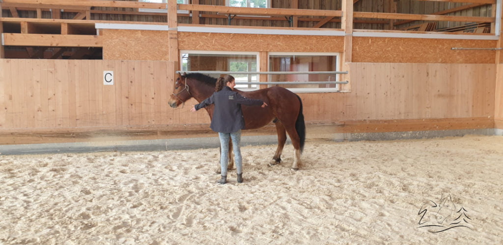 Ecurie Vermeille équicoaching coach cheval chevaux Jura Suisse Femme confiance en soi communication verbale non verbale famille team building Leader leadership affirmation de soi, détermination, enthousiasme, compétitivité, résistance et organisation