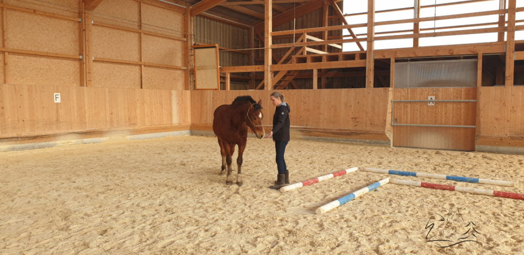 Ecurie Vermeille équicoaching coach cheval chevaux Jura Suisse Femme confiance en soi communication verbale non verbale famille team building Leader leadership affirmation de soi, détermination, enthousiasme, compétitivité, résistance et organisation