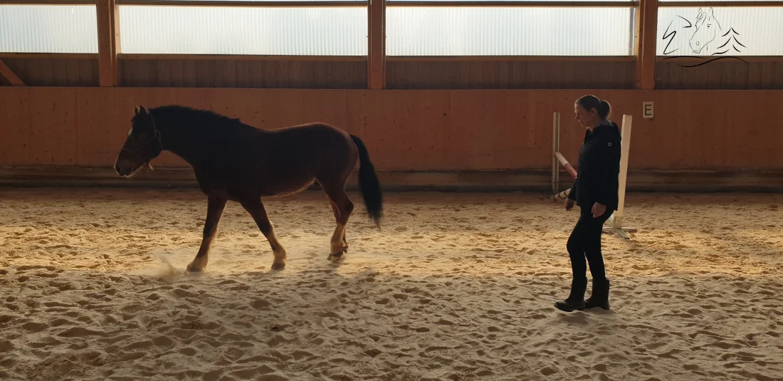 Ecurie Vermeille équicoaching coach cheval chevaux Jura Suisse Femme confiance en soi communication verbale non verbale famille team building Leader leadership affirmation de soi, détermination, enthousiasme, compétitivité, résistance et organisation