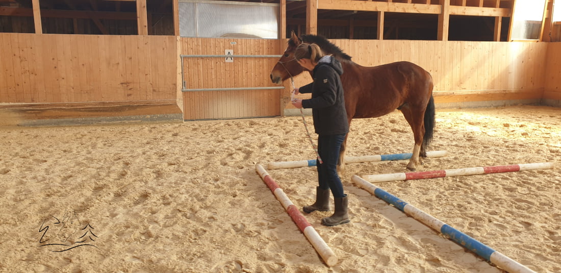 Ecurie Vermeille équicoaching coach cheval chevaux Jura Suisse Femme confiance en soi communication verbale non verbale famille team building Leader leadership affirmation de soi, détermination, enthousiasme, compétitivité, résistance et organisation